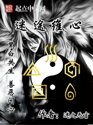 《迷途维心》小说封面