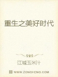 《重生之美好时代》小说封面