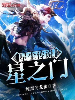 《星尘传说星之门》小说封面
