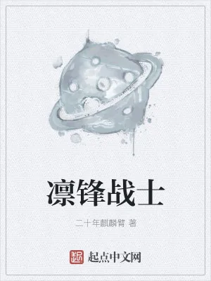 《凛锋战士》小说封面