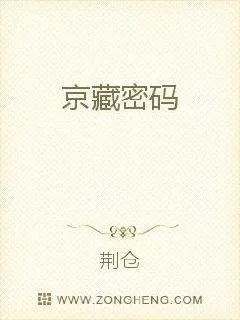 《京藏密码》小说封面