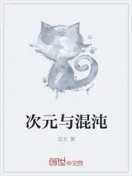 《次元与混沌》小说封面