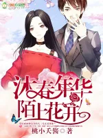 《沐春年华，陌上花开》小说封面