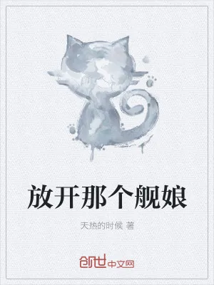 《放开那个舰娘》小说封面