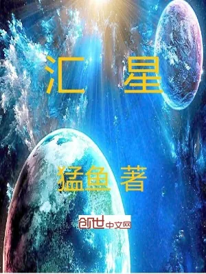 《汇星》小说封面