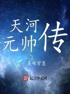 《天河元帅传》小说封面