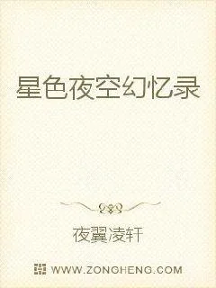 《星色夜空幻忆录》小说封面