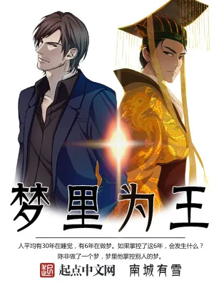 《梦里为王》小说封面
