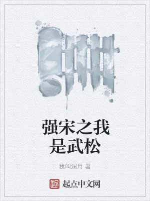 《强宋之我是武松》小说封面