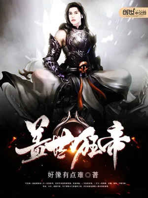 《盖世狂帝》小说封面