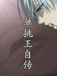 《单挑王自传》小说封面