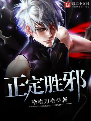 《正定胜邪》小说封面