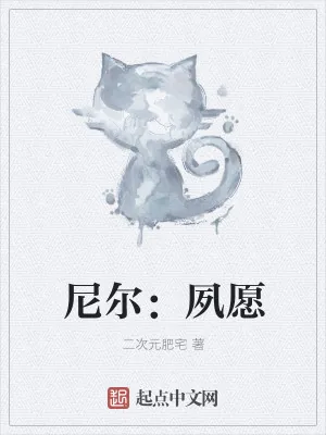 《尼尔：夙愿》小说封面