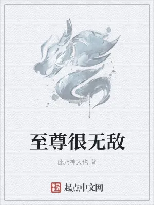 《至尊很无敌》小说封面