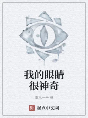 《我的眼睛很神奇》小说封面