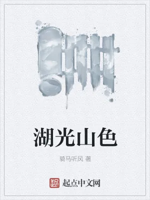《湖光山色》小说封面