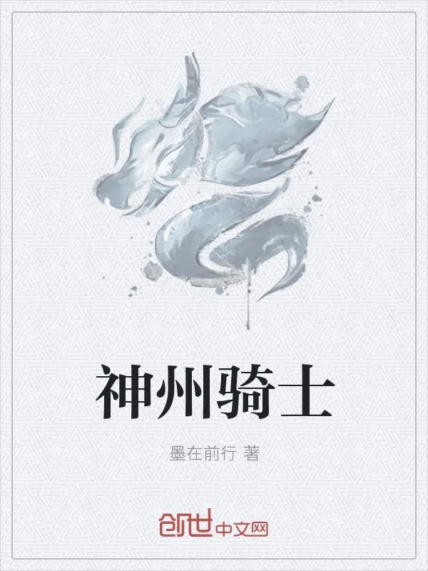 《神州骑士》小说封面