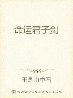 《命运君子剑》小说封面
