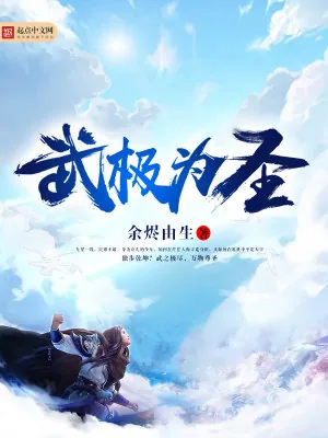 《武极为圣》小说封面