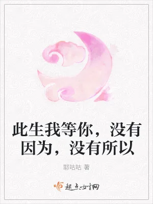 《此生我等你，没有因为，没有所以》小说封面
