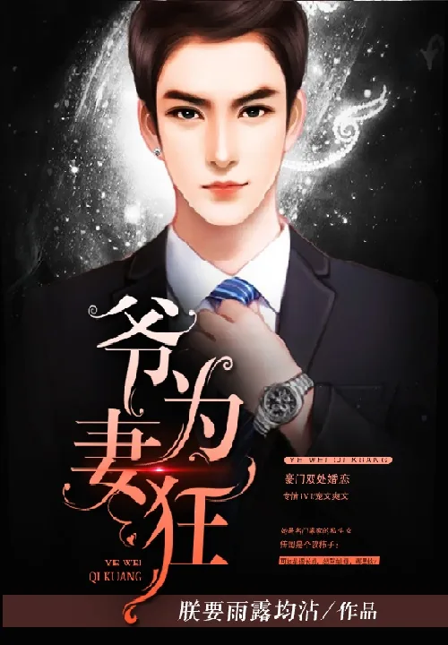 《爷为妻狂》小说封面