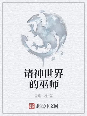 《诸神世界的巫师》小说封面