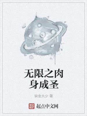 《无限之肉身成圣》小说封面