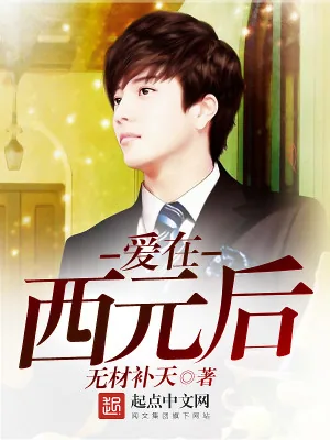 《爱在西元后》小说封面