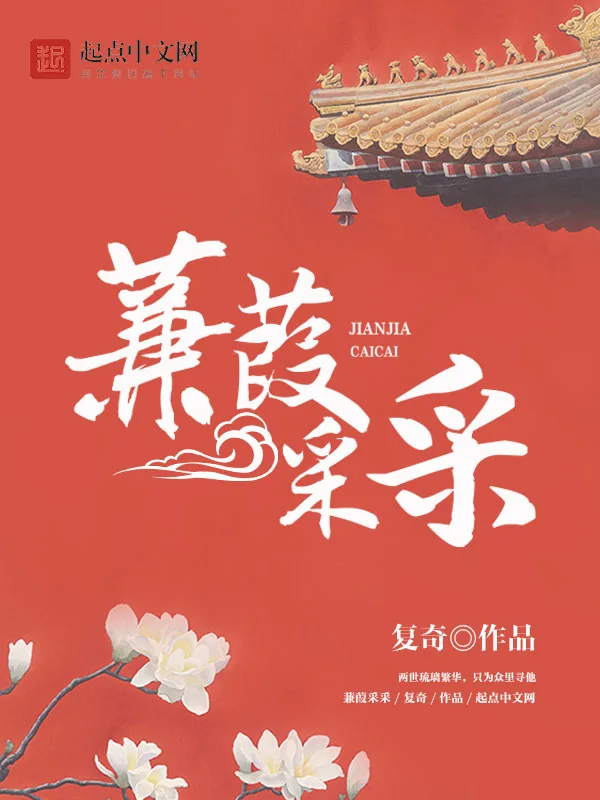 《蒹葭采采》小说封面