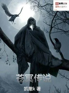 《苍冥传说》小说封面