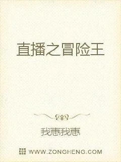 《直播之冒险王》小说封面