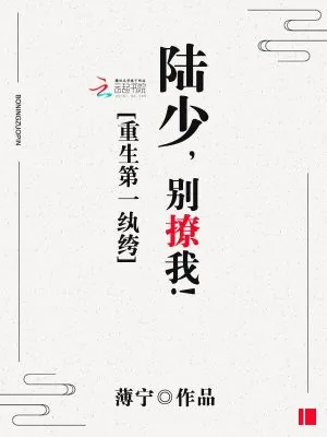 《重生第一纨绔：陆少，别撩我！》小说封面