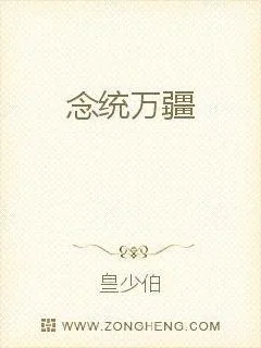 《念统万疆》小说封面