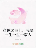 《穿越之皇上，我要一生一世一双人》小说封面