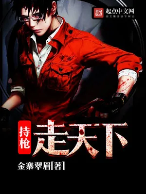 《持枪走天下》小说封面