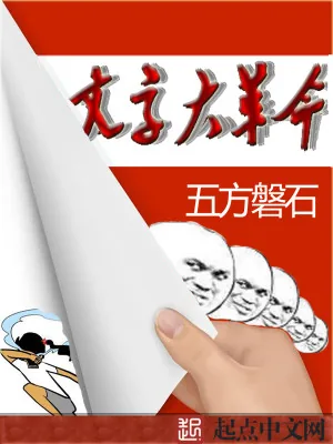 《文字大变革》小说封面