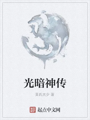 《光暗神传》小说封面