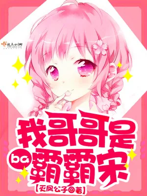《我哥哥是霸霸宋》小说封面