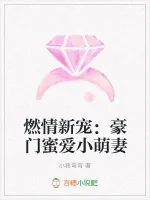 《燃情新宠：豪门蜜爱小萌妻》小说封面