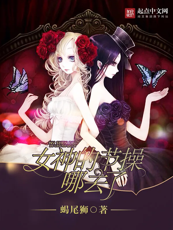 《女神的节操哪去了》小说封面