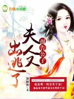 《报告公子，夫人又出逃了》小说封面
