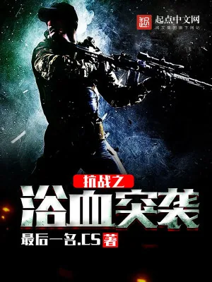 《抗战之浴血突袭》小说封面