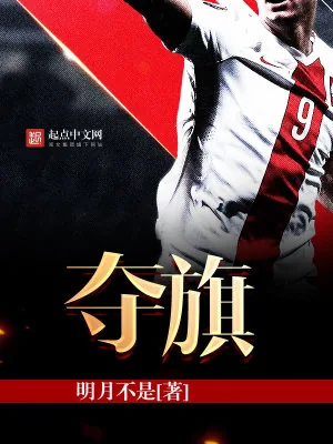 《夺旗》小说封面