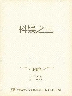 《科娱之王》小说封面