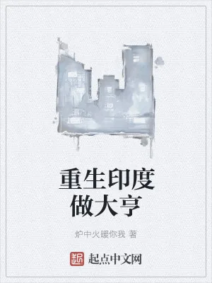 《重生印度做大亨》小说封面