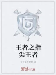 《王者之指尖王者》小说封面