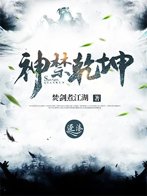 《神禁乾坤》小说封面