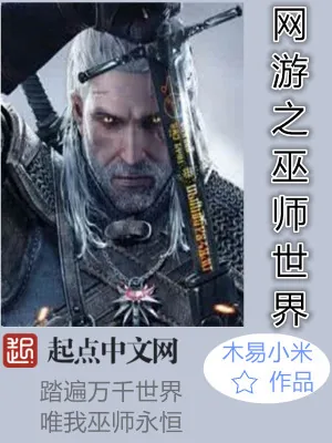 《网游之巫师世界》小说封面