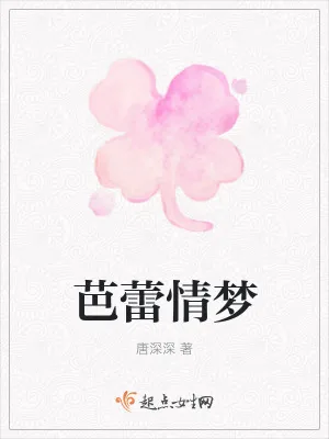 《芭蕾情梦》小说封面
