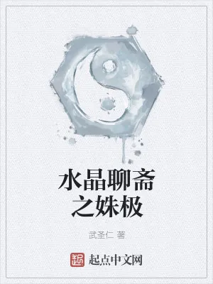 《水晶聊斋之姝极》小说封面